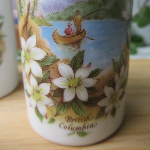 Salt & Pepper Shaker British Columbia Fairmont Hot Springs Canada Souvenir - Picture 2 of 8